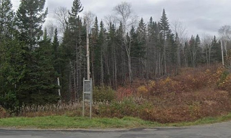 Vacant Lot Mountain ...