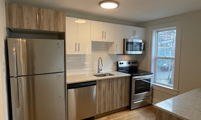 Newly Renovated 1 Be...