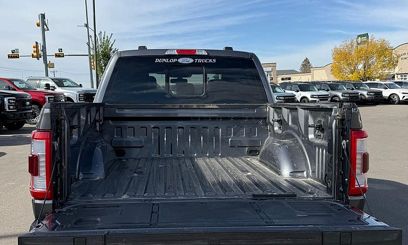 2023 Ford F-150 Plat...