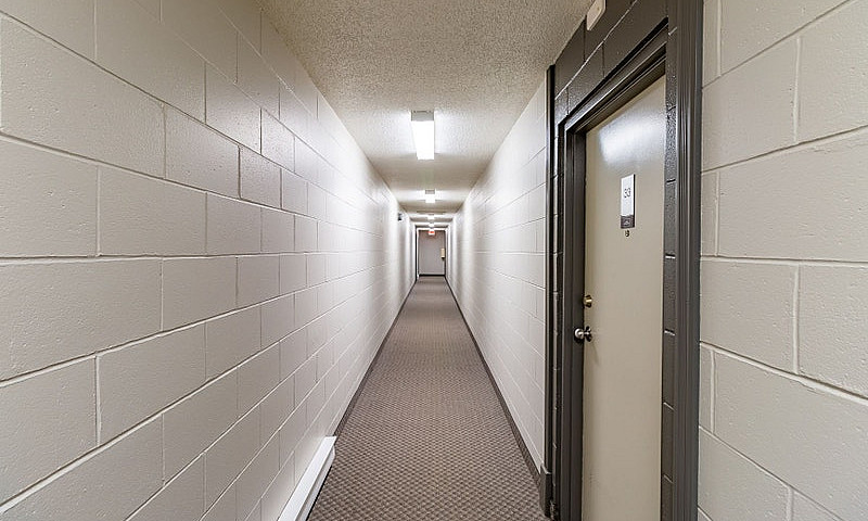 1 Bedroom Apt All In...