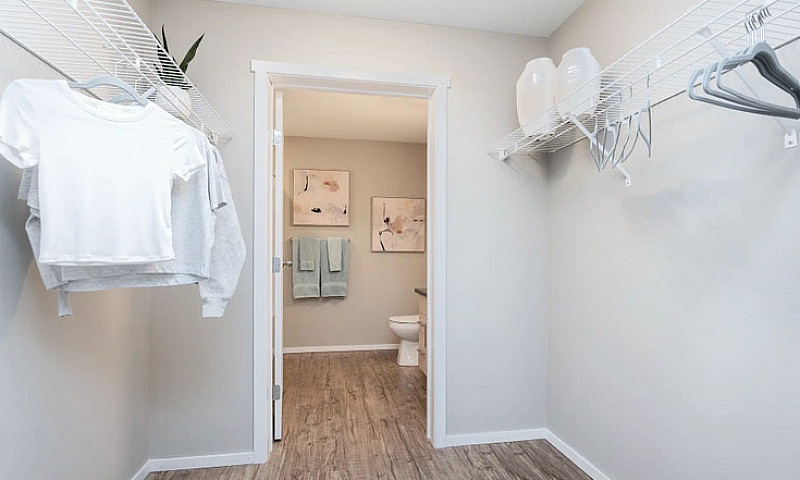 Pet-Friendly Three B...