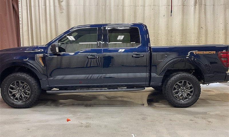 2024 Ford F-150 Trem...