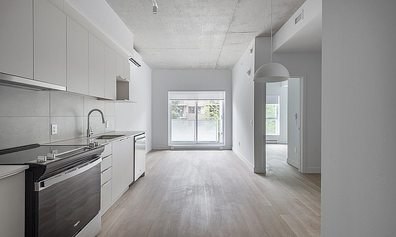 1 Bedroom Apartment ...