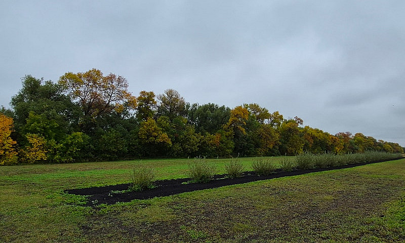 2 Acre Building Lot ...