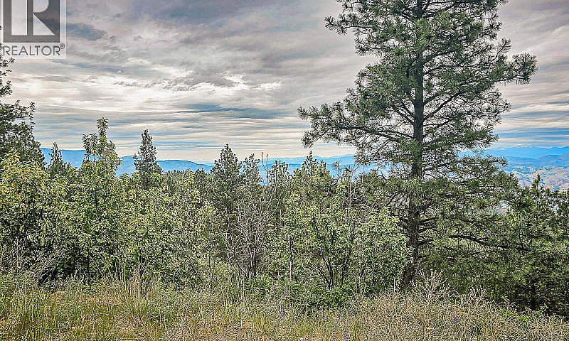 490 Sasquatch Trail ...