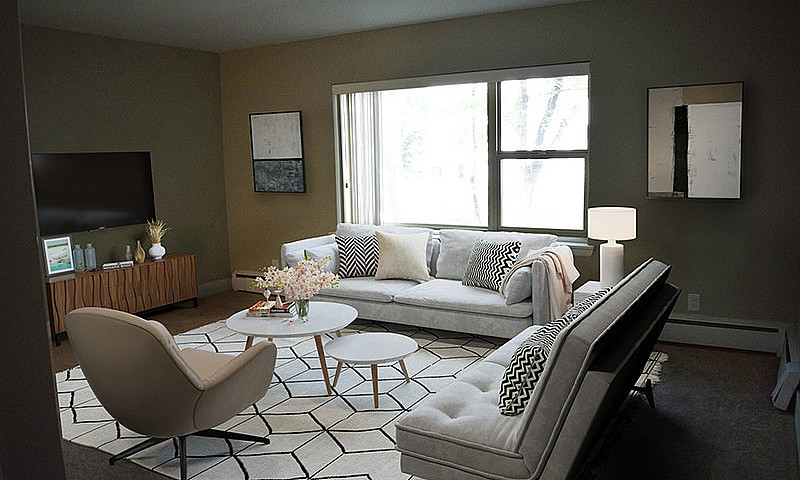 Studio Suite In The ...