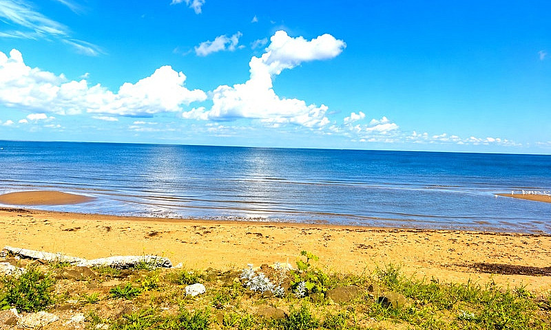Beachfront / Waterfr...