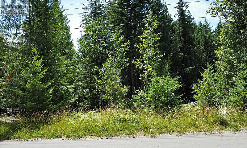 Estate Place Lot# 19...