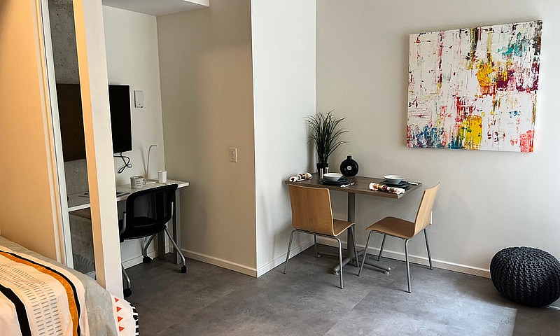 Fully Furnished Stud...