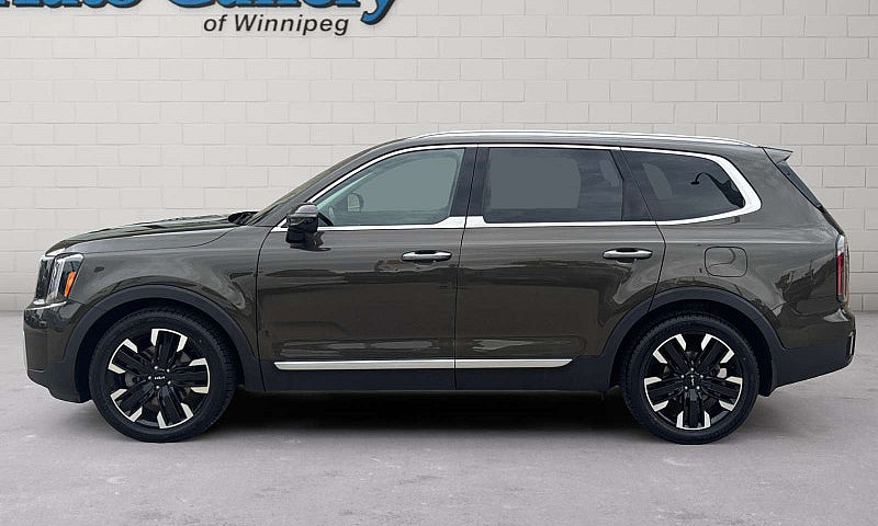 2023 Kia Telluride S...