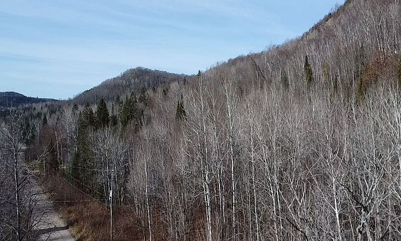 189 000$ - Terre À D...