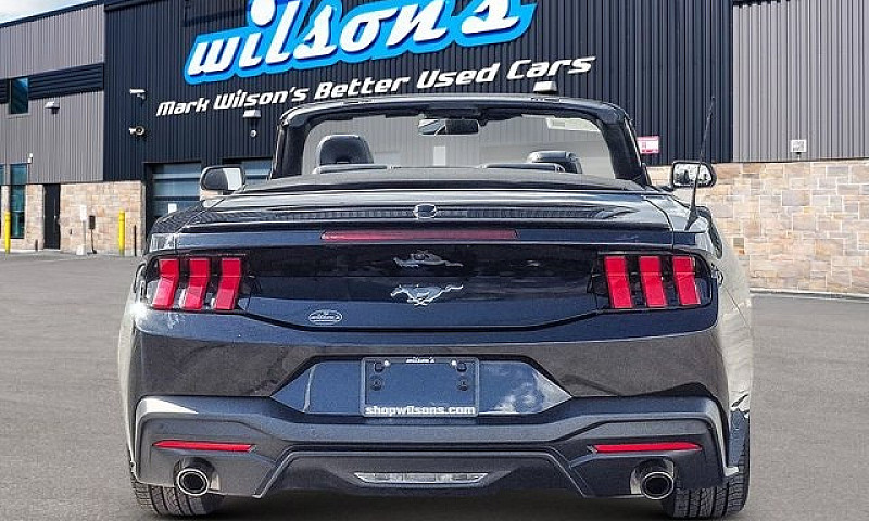 2025 Ford Mustang Co...