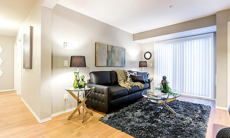 Pet-Friendly Three B...