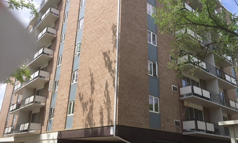One Bedroom Suite (#...