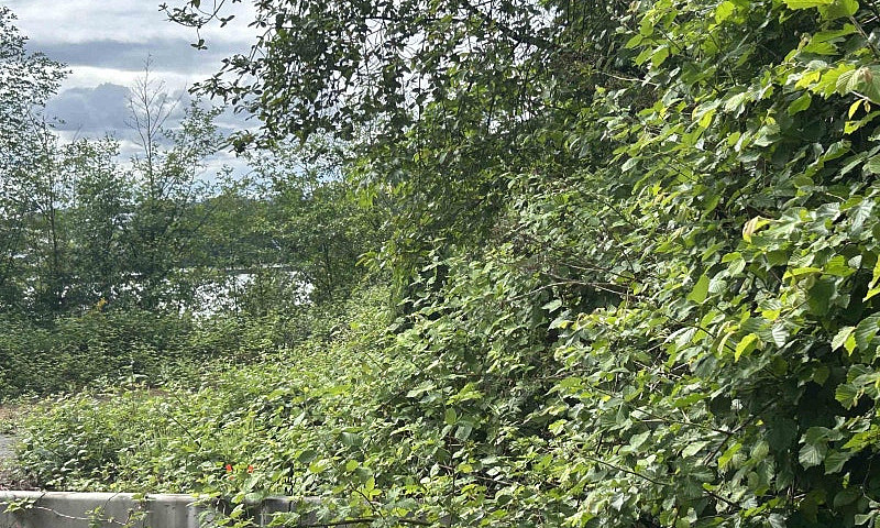 Lt.3 11083 River Roa...