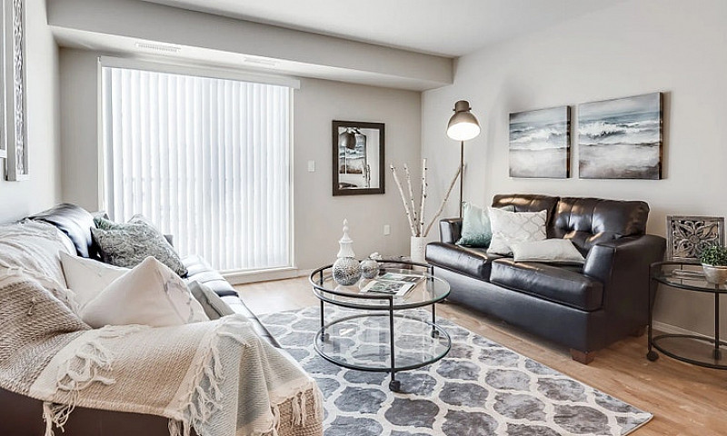 Pet-Friendly One Bed...