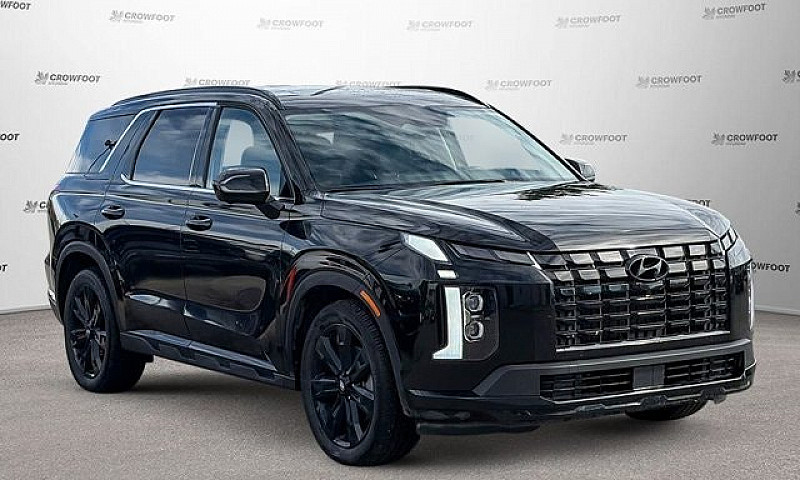 2025 Hyundai Palisad...
