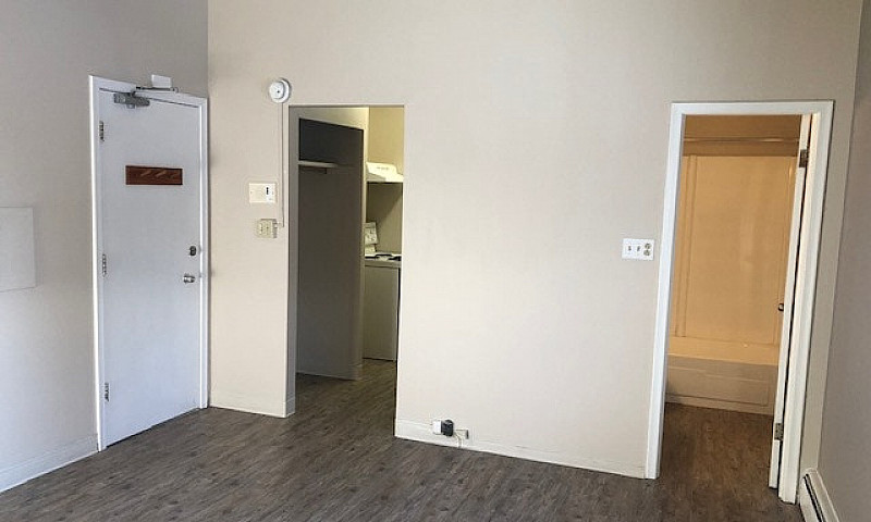 Bachelor Suites - Dr...