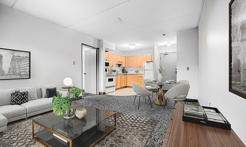 1 Bedroom Apartment ...
