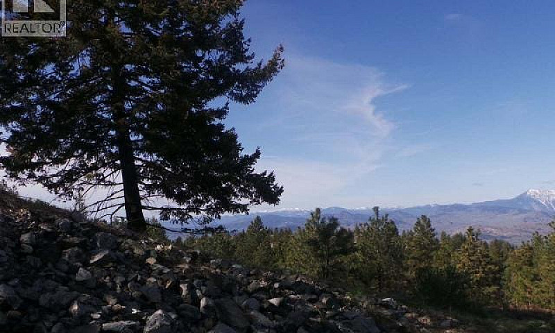 290 Mule Deer Drive ...