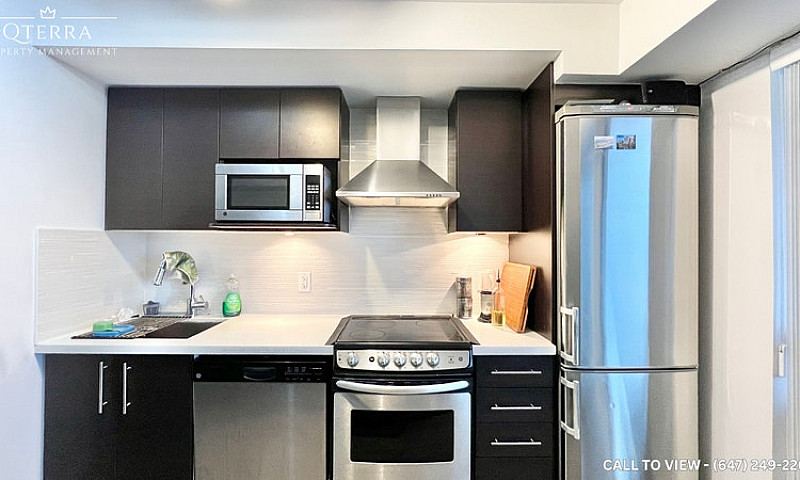 Newly Renovated 1 Be...