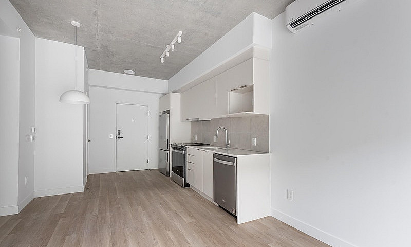 1 Bedroom Apartment ...