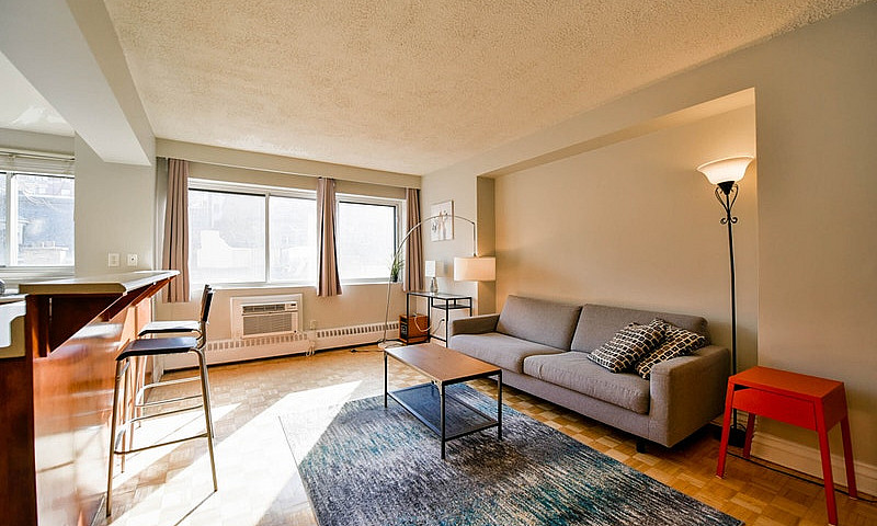 Furnished One Bedroo...