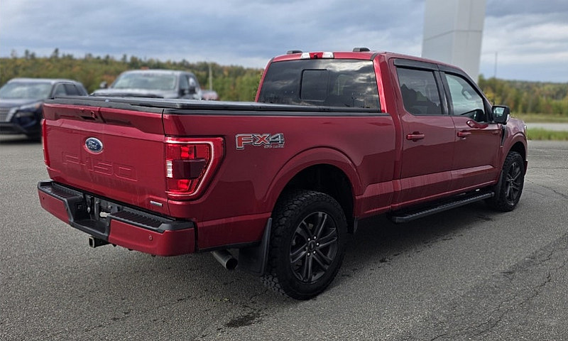2021 Ford F-150 Xlt ...