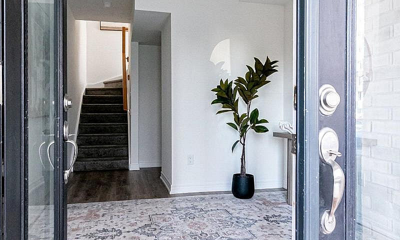 7 Roxanne Drive Hami...