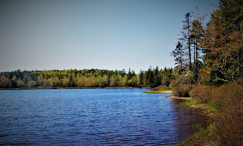 Lewie Lake - 10 Min ...