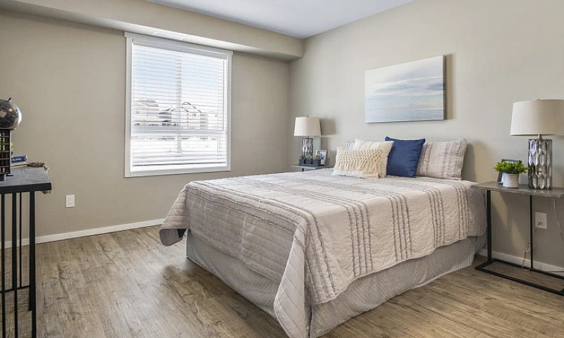 Pet-Friendly Three B...