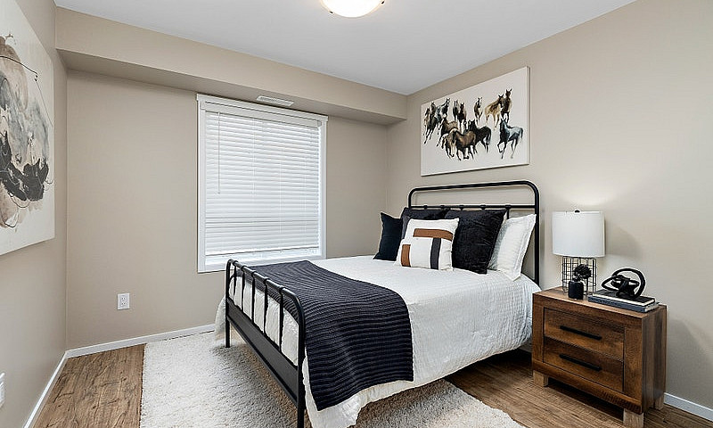 Pet-Friendly One Bed...