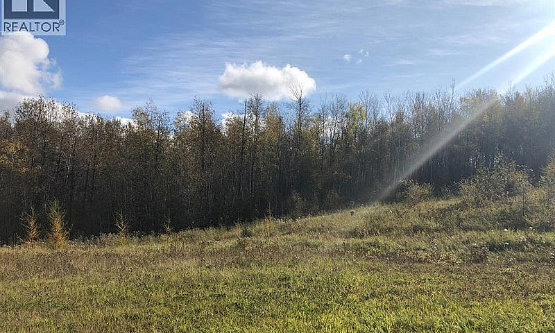 111, 16326 Twp Rd 67...