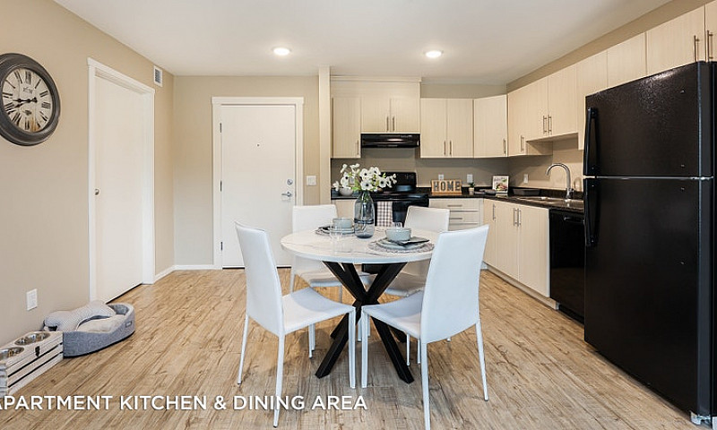 Pet-Friendly Three B...