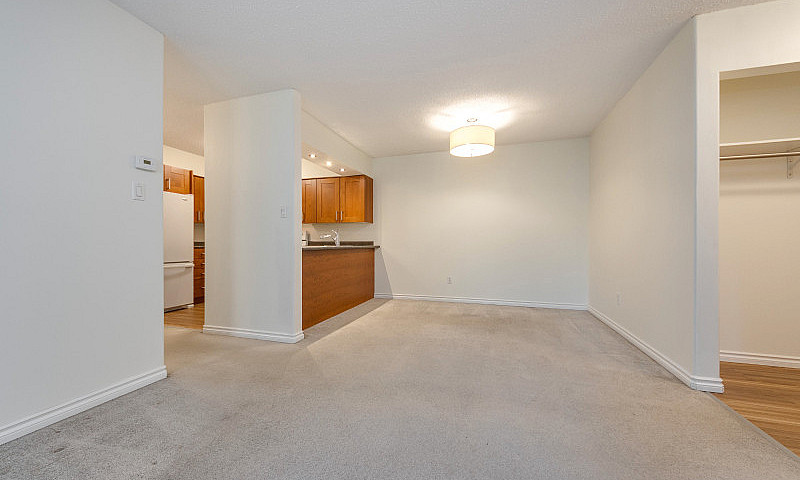 Well-Maintained Cond...