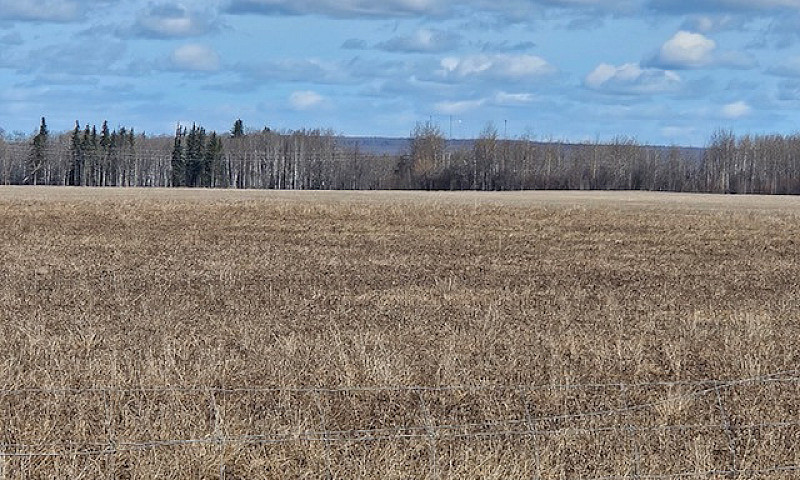 10.08 Acres - Vacant...