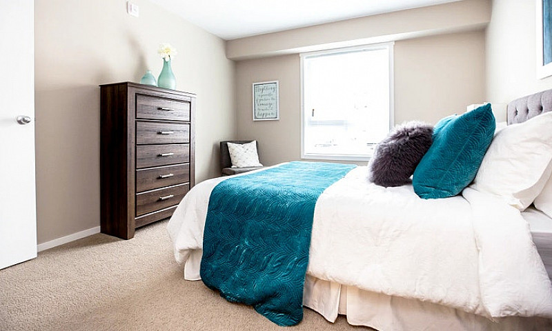 Pet-Friendly Two Bed...