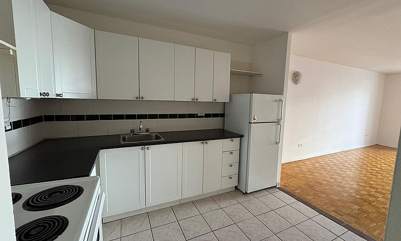1 Bedroom/Studio 1 1...