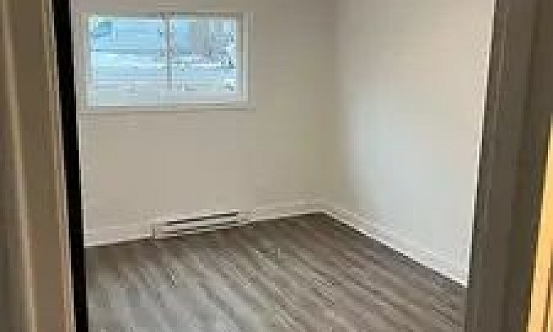 Newly Renovated 1 Be...