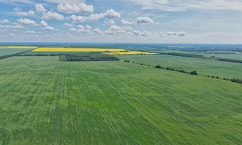 2,097 Acres | Rose P...