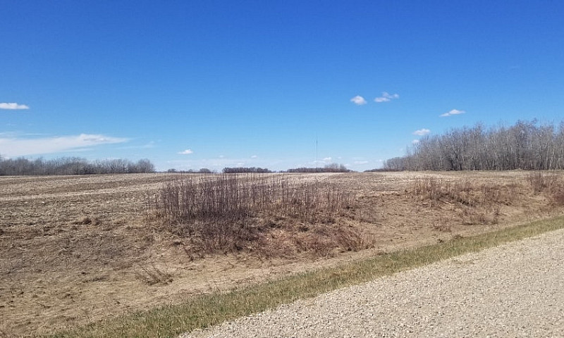 Farm Land Close To R...