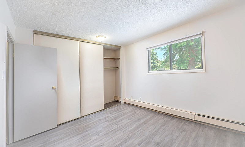 Bachelor, 1 Bedroom ...