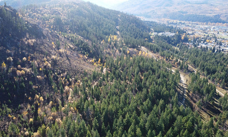 Dl 1570 Dixon Creek ...