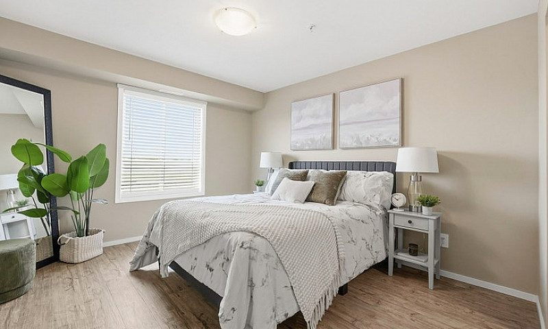 Pet-Friendly Three B...