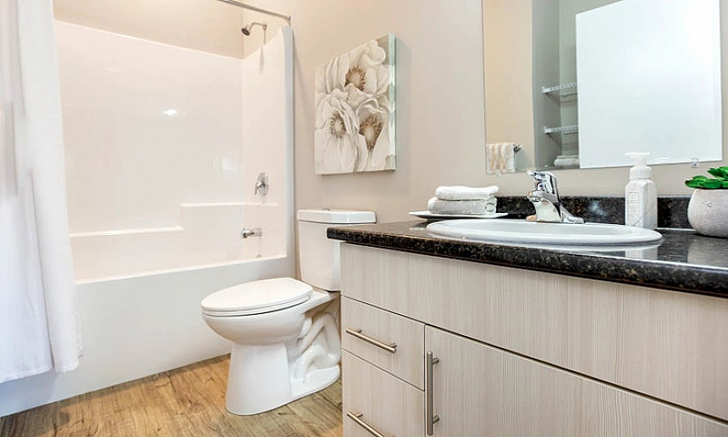 Pet-Friendly Two Bed...