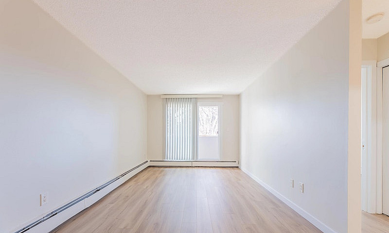 Renovated Apartments...