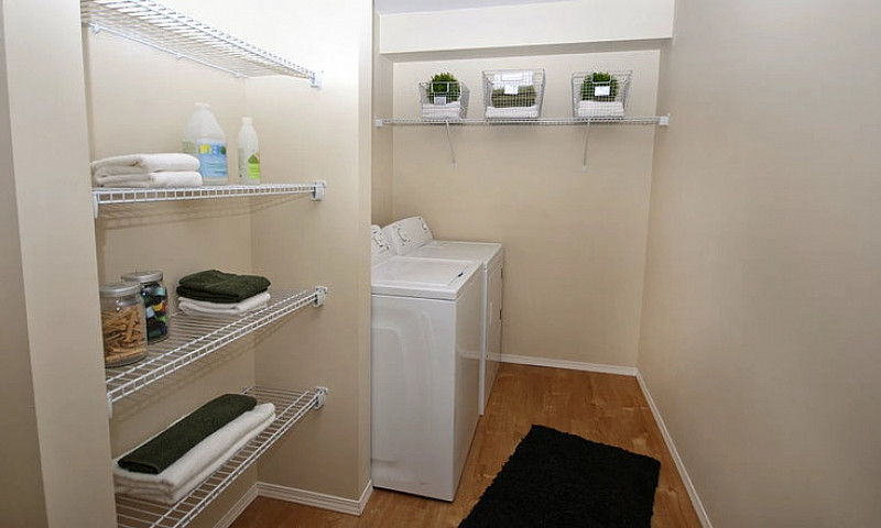 Pet-Friendly Three B...