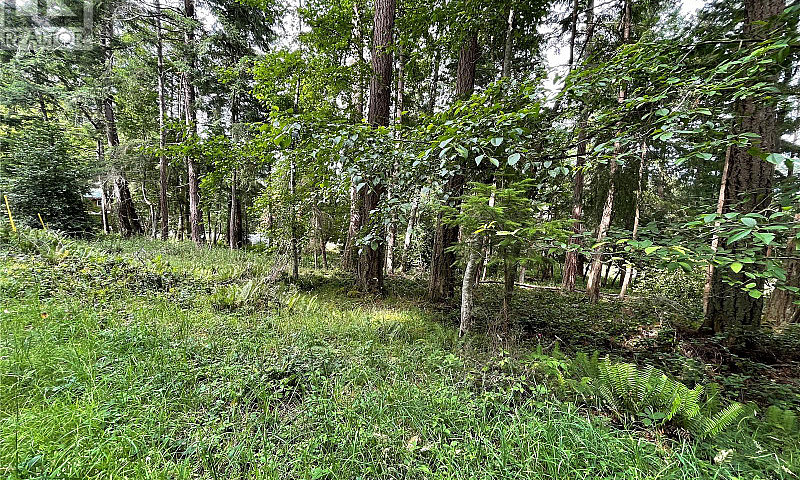 Lot 17 Apple Orchard...