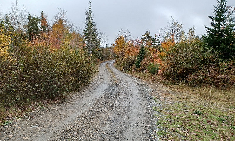 11 Acres Of Land On ...