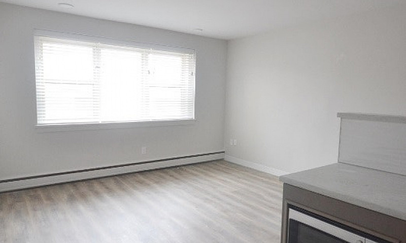 Renovated 1 Bedroom,...